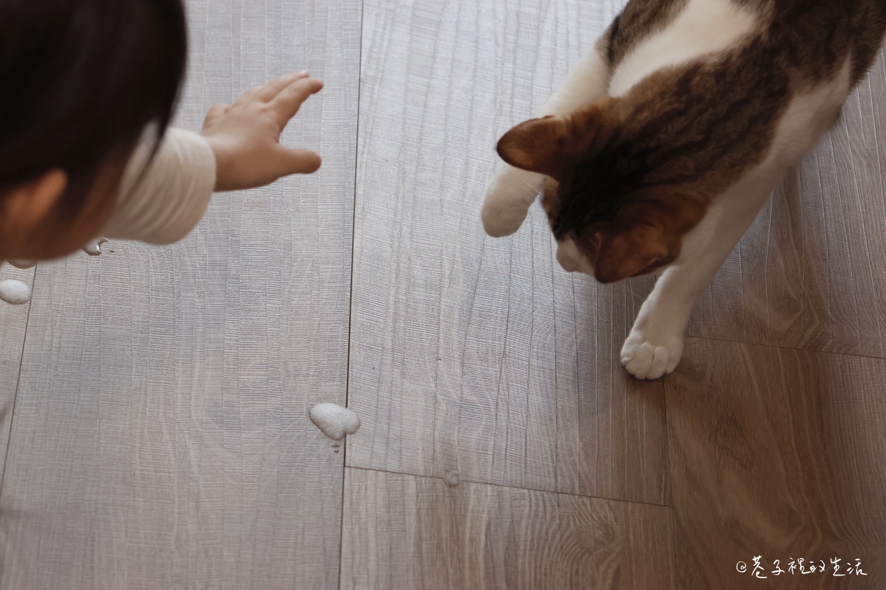 居家清潔的萬能小幫手，水魔素家事清潔黑肥皂液：家裡有貓貓、小孩也能使用